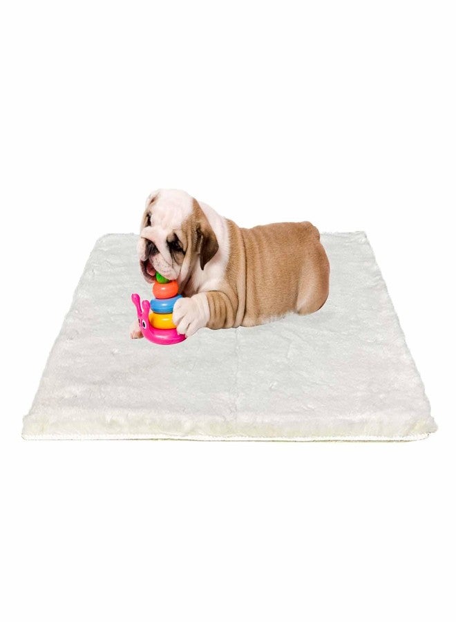 LWFCOEE Dog Bed Mat Crate Pads for Dog Cages 30x21 Inch Washable Anti-Slip Dog Kennel Pad Soft Small Puppy Cage Cushion Liner, Beige - Image 1
